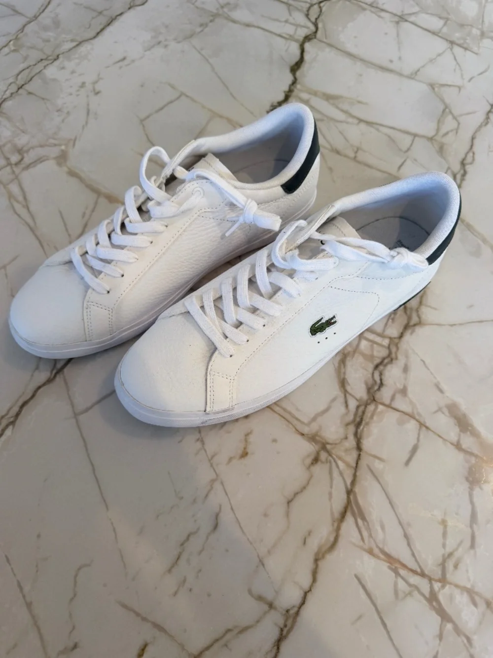 Men's Lacoste Sneakers